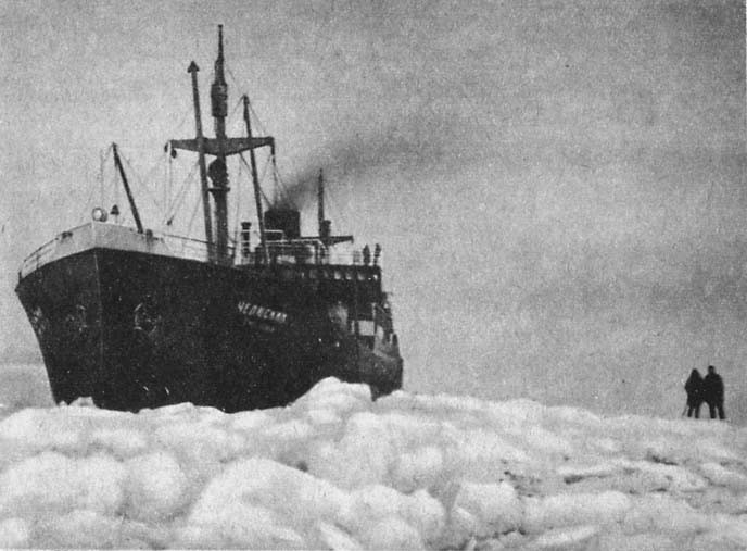 Поучительная история «Челюскина» Поучительная история «Челюскина»