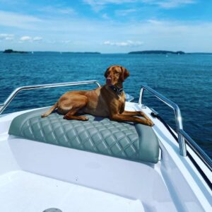 WhatsApp Image 2021-07-20 at 13.43.41 (1)